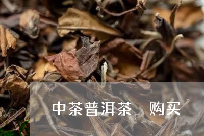 中茶普洱茶 购买/2023041238479